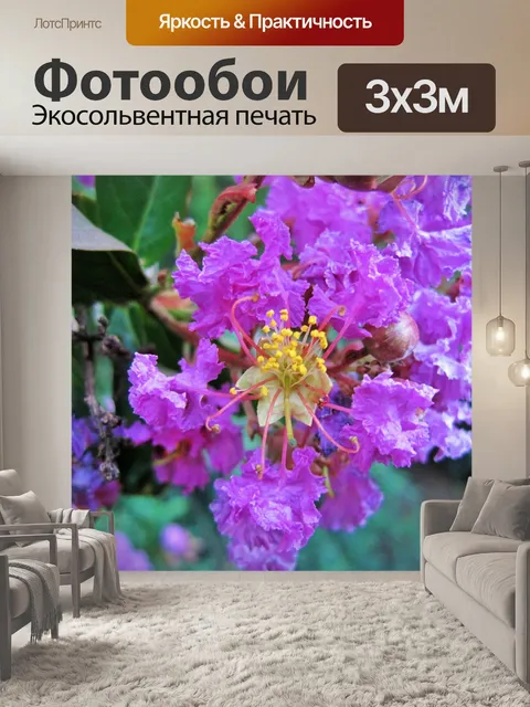 Фотообои розовый гордость Индии