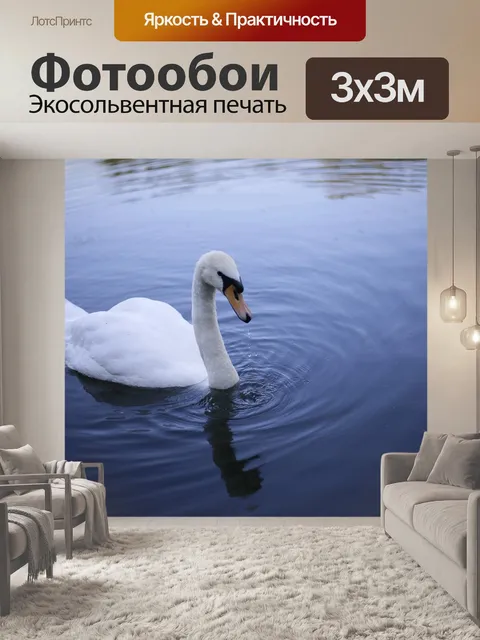 Фотообои Лебедь