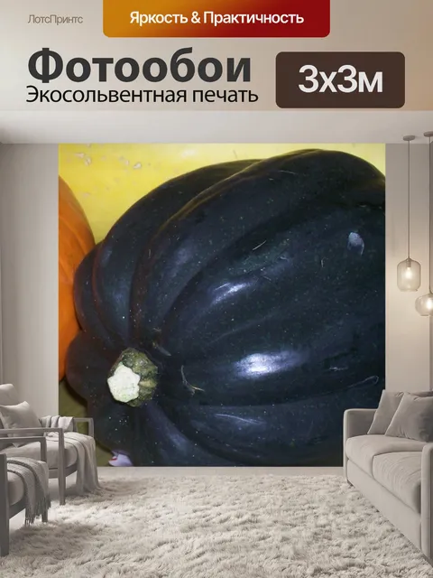 Фотообои Желудь Сквош