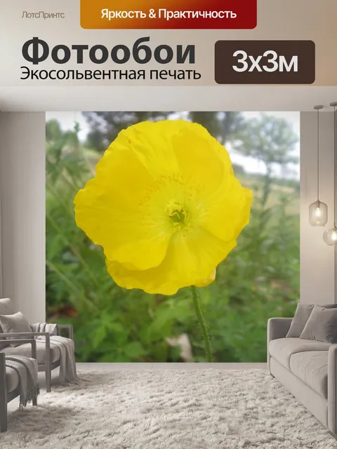 Фотообои Желтый мак