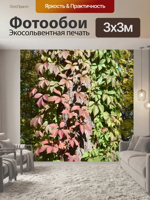 Фотообои Разноцветные