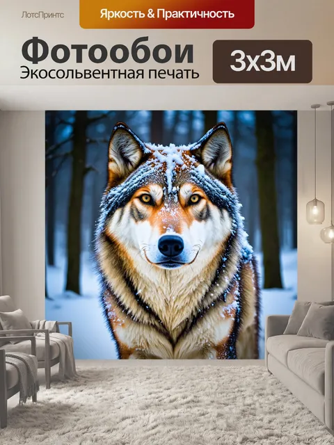 Фотообои зимний вечер, волчица с шапкой снега на голове
