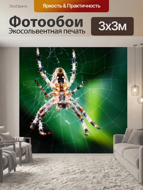 Фотообои Сад паук