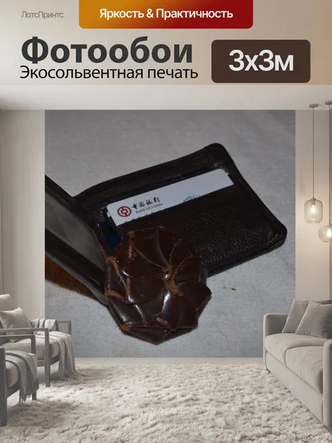 Фотообои Кошелек и держатель монет