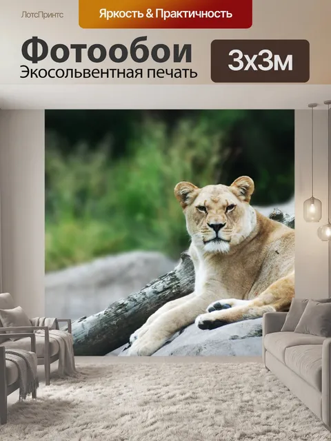 Фотообои Львица на Рок
