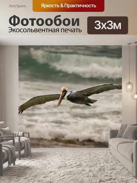 Фотообои Птица