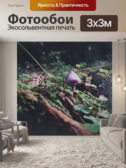 Фотообои Гриб