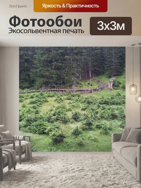 Фотообои Лес