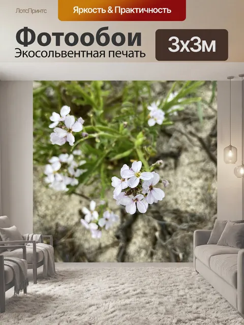 Фотообои Цветы