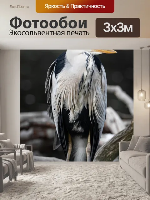 Фотообои Серая цапля