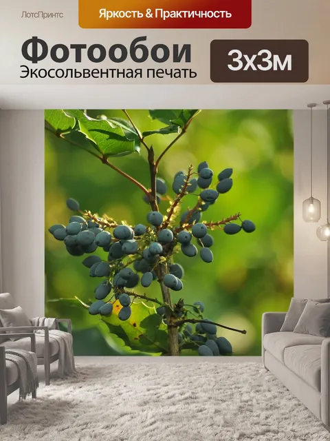 Фотообои Ягоды