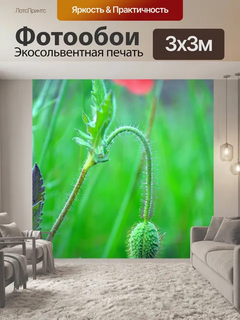 Фотообои Красные маки