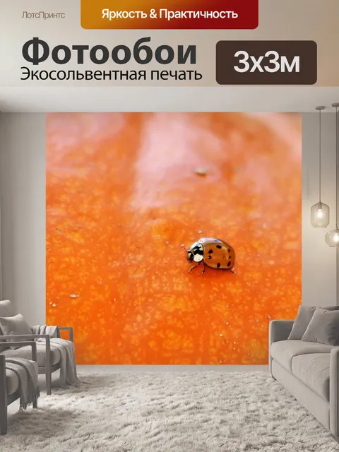 Фотообои Леди Баг на тыкве