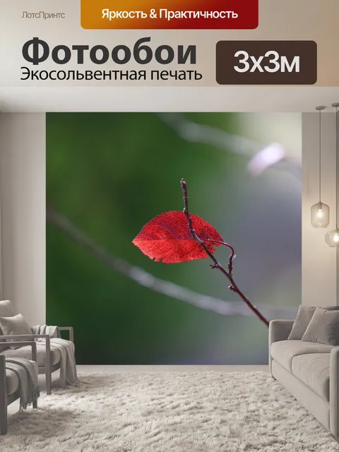 Фотообои Лист