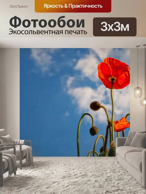 Фотообои Мак цветок