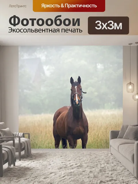 Фотообои Лошадь