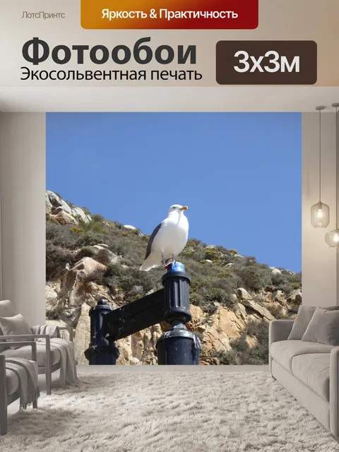 Фотообои Чайка, сидя на фонарный столб