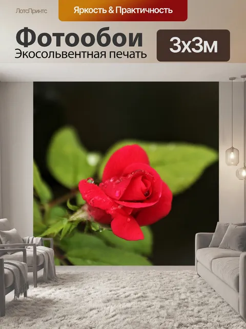 Фотообои Красный бутон розы и капли дождя