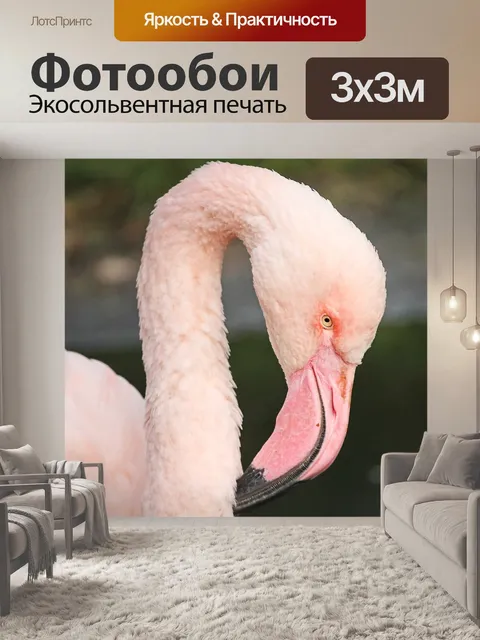 Фотообои Фламинго