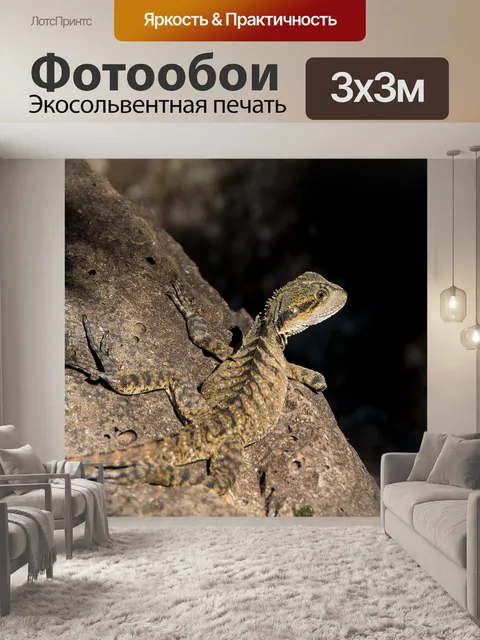 Фотообои Ящерица