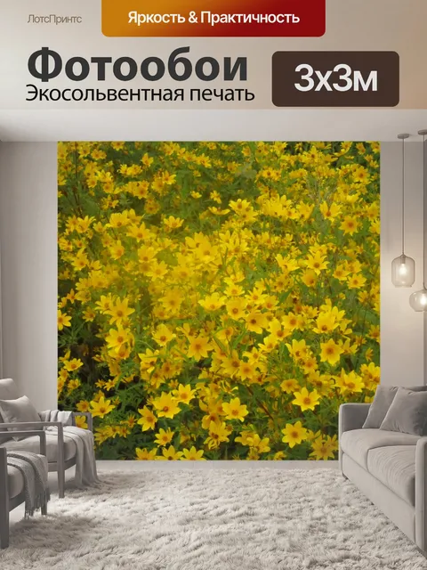 Фотообои Группа желтых маргариток