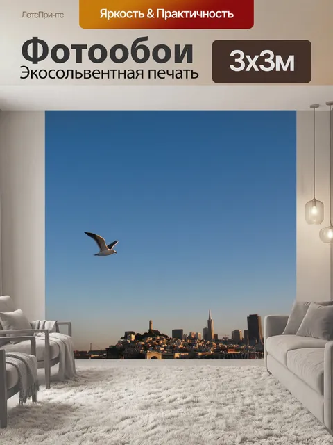 Фотообои Чайка
