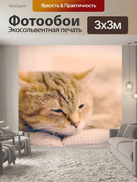 Фотообои Домашний питомец