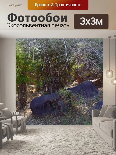 Фотообои Бамбуковый лес 8