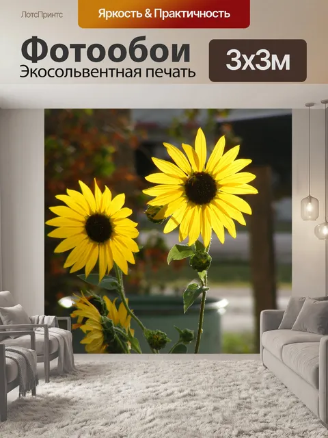 Фотообои Подсолнухи