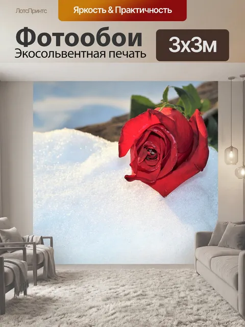 Фотообои Замороженные красная роза в снегу
