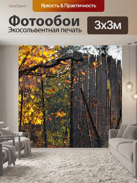 Фотообои Старый деревянный забор