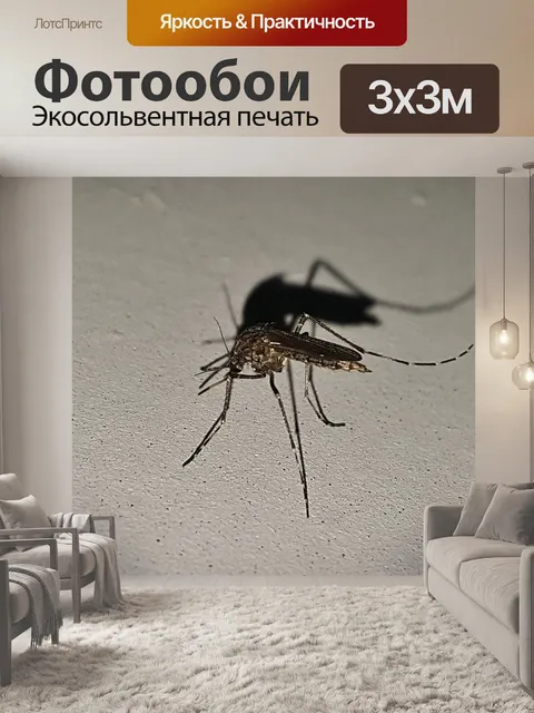 Фотообои Комар