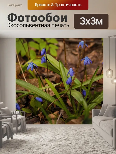 Фотообои Подснежник