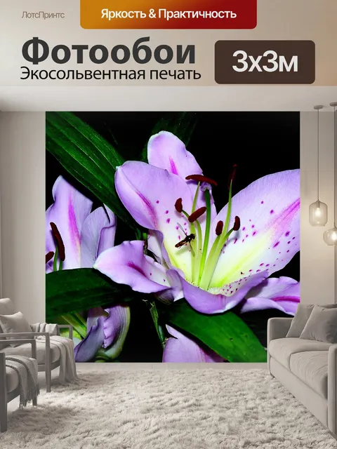 Фотообои Лили
