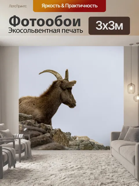 Фотообои Горный козел