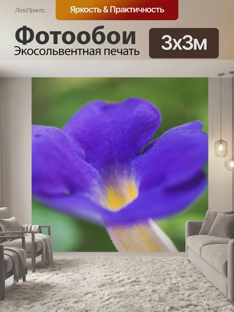 Фотообои красочный цветок макро выстрел