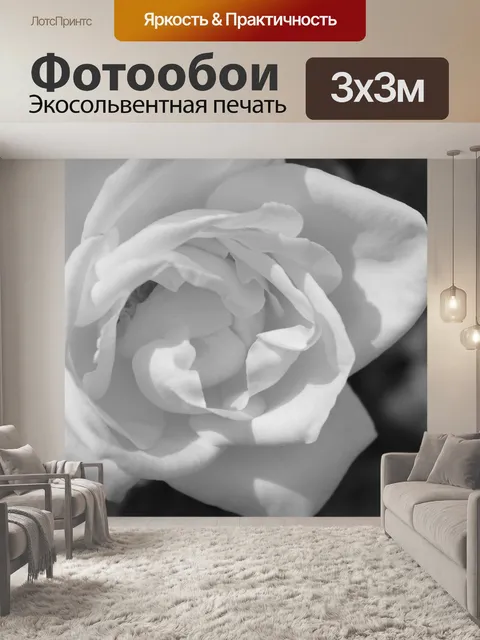 Фотообои Черно-белая роза