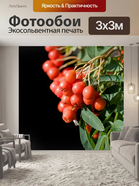 Фотообои Красные ягоды