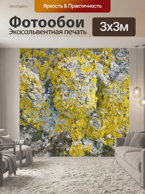 Фотообои Мох