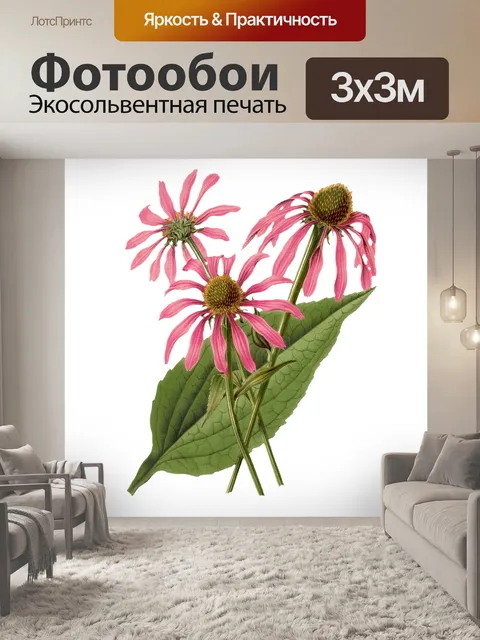 Фотообои Цветочный цветок старинное искусство