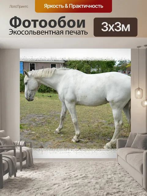 Фотообои Белая лошадь