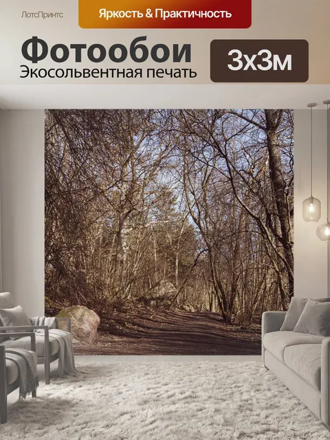 Фотообои Волшебный лес