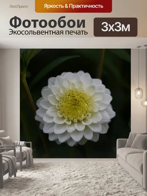 Фотообои Белый