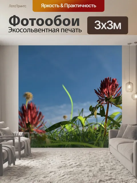 Фотообои Цветок
