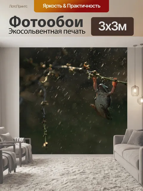 Фотообои Дождь