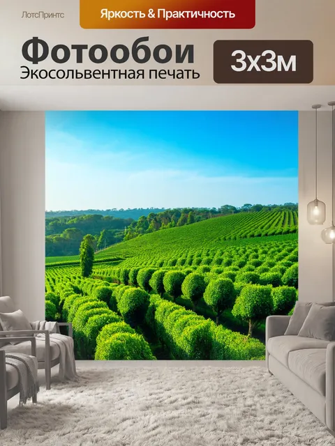 Фотообои англия: вид на чайные плантации