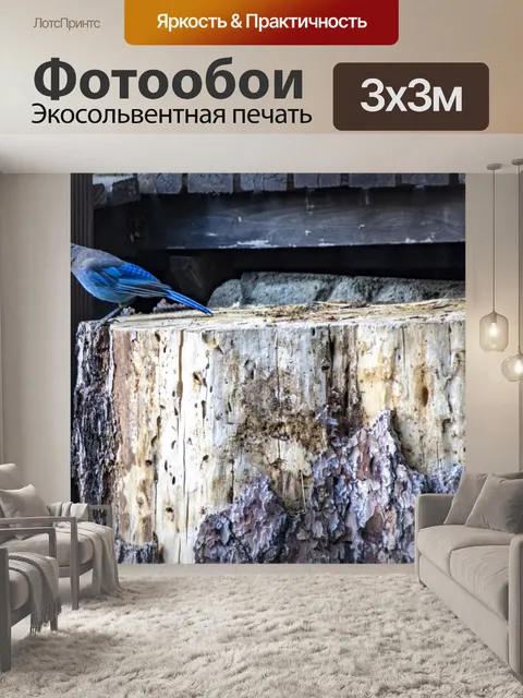 Фотообои голубая сойка