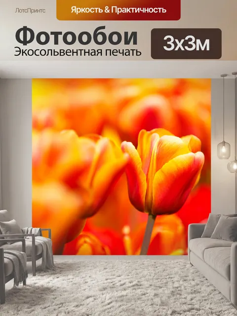 Фотообои Желтый красный тюльпан крупным планом