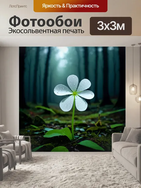 Фотообои сцена, где белый клевер с каплями дождя выделяется на фоне темного леса