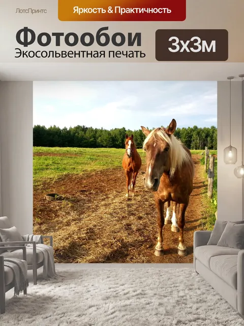 Фотообои Лошади в поле